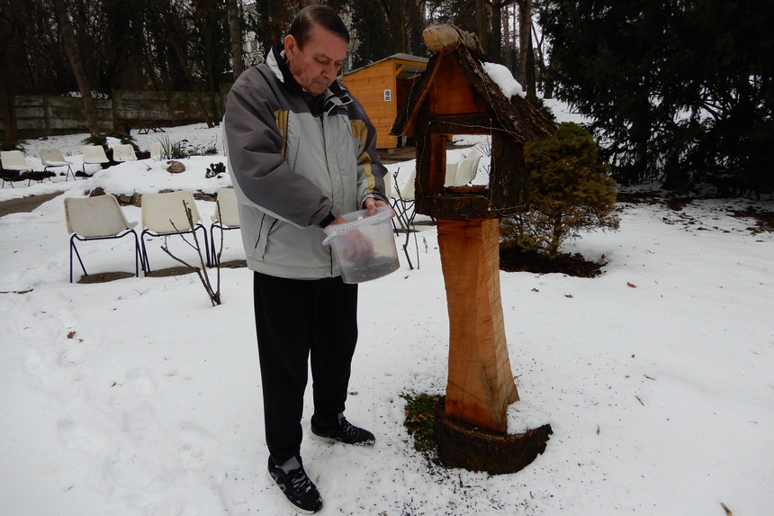 Gondoskodás a park madarairól – JSZTIO